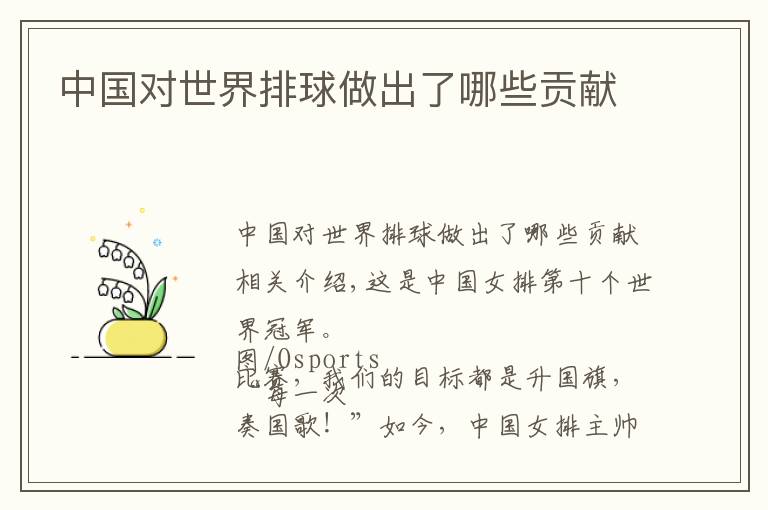 中国对世界排球做出了哪些贡献