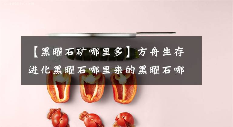 【黑曜石矿哪里多】方舟生存进化黑曜石哪里来的黑曜石哪里来的？