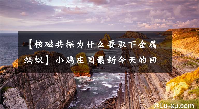 【核磁共振为什么要取下金属蚂蚁】小鸡庄园最新今天的回答2021