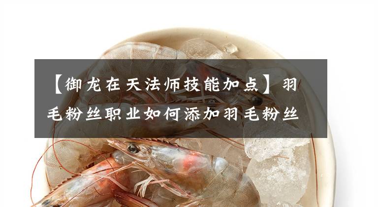 【御龙在天法师技能加点】羽毛粉丝职业如何添加羽毛粉丝,增加技巧分享?