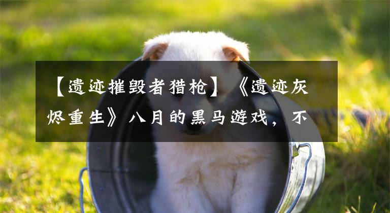 【遗迹摧毁者猎枪】《遗迹灰烬重生》八月的黑马游戏，不止是射击版黑魂