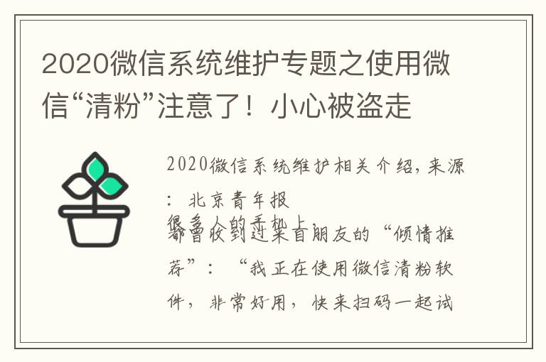 2020微信系统维护专题之使用微信“清粉”注意了!小心被盗走账户资金