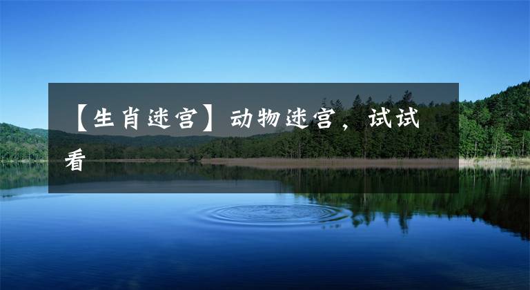 【生肖迷宫】动物迷宫，试试看