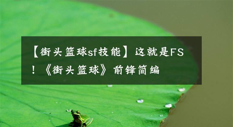 【街头篮球sf技能】这就是FS！《街头篮球》前锋简编