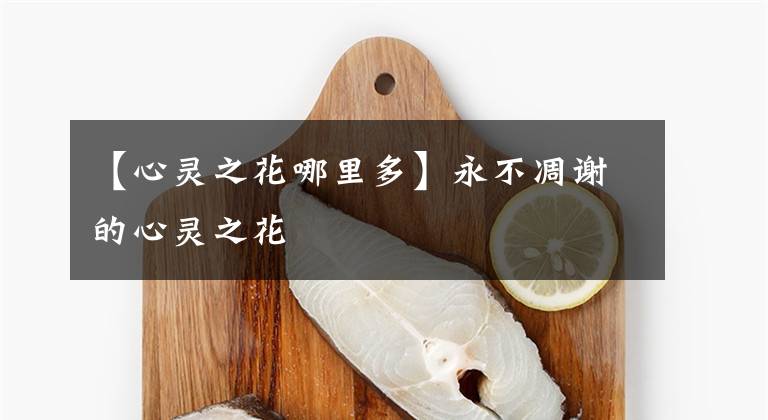 【心灵之花哪里多】永不凋谢的心灵之花