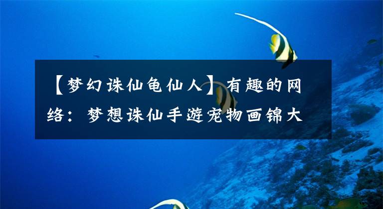 【梦幻诛仙龟仙人】有趣的网络:梦想诛仙手游宠物画锦大全宠物是什么