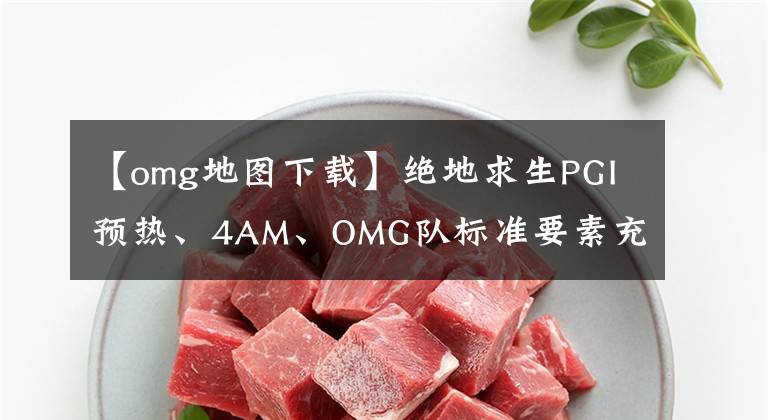 【omg地图下载】绝地求生PGI预热、4AM、OMG队标准要素充斥在地图上