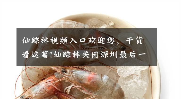 仙踪林视频入口欢迎您，干货看这篇!仙踪林关闭深圳最后一家店，“初代网红”鼻祖撑不住了