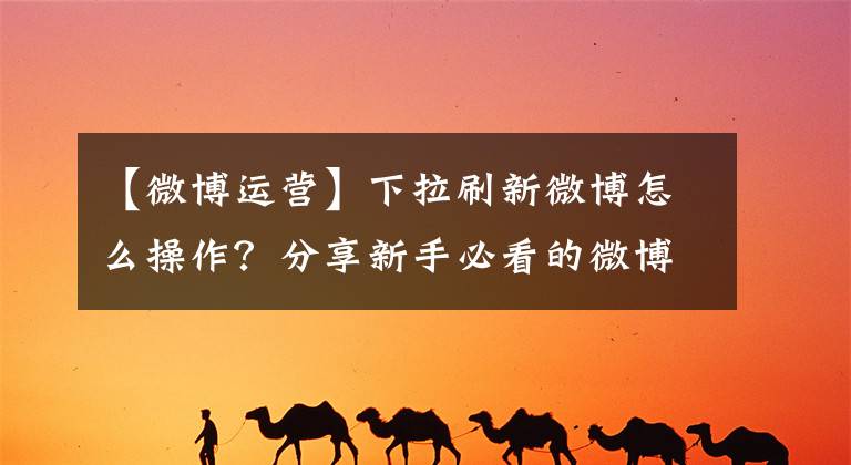 【微博运营】下拉刷新微博怎么操作？分享新手必看的微博运营诀窍