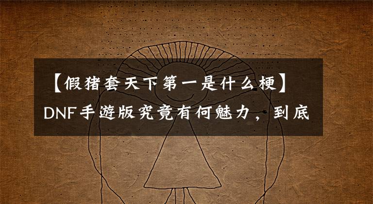 【假猪套天下第一是什么梗】DNF手游版究竟有何魅力，到底香不香？