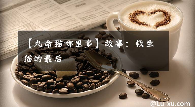 【九命猫哪里多】故事：救生猫的最后