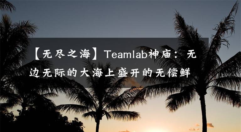【无尽之海】Teamlab神庙:无边无际的大海上盛开的无偿鲜花。