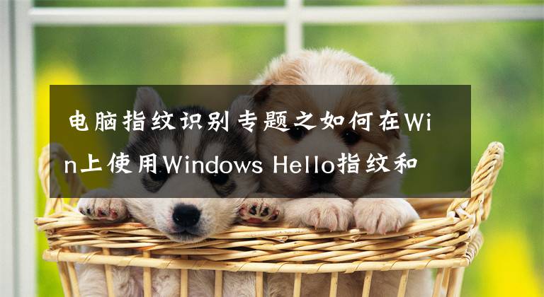 电脑指纹识别专题之如何在Win上使用Windows Hello指纹和人脸识别?