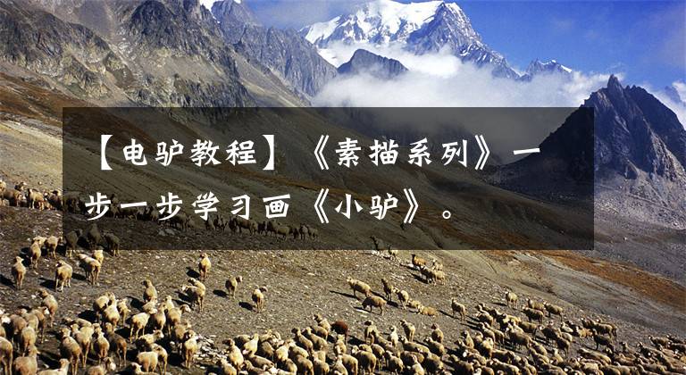 【电驴教程】《素描系列》一步一步学习画《小驴》。