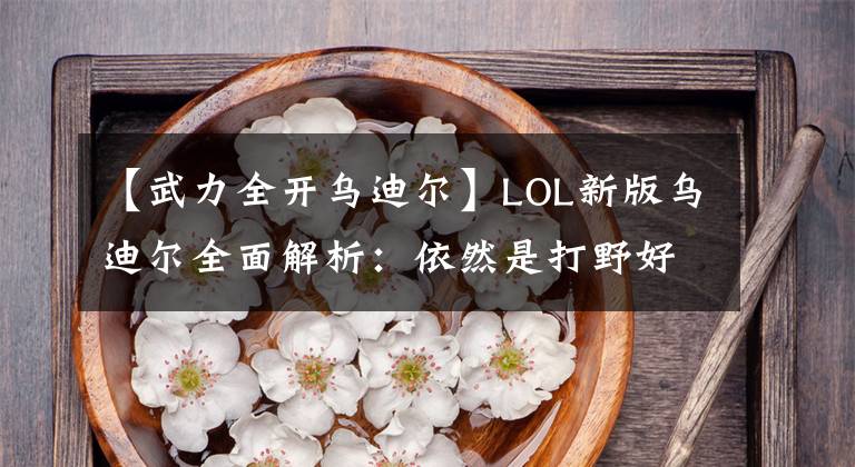 【武力全开乌迪尔】LOL新版乌迪尔全面解析：依然是打野好手，这款皮肤建议人手一款