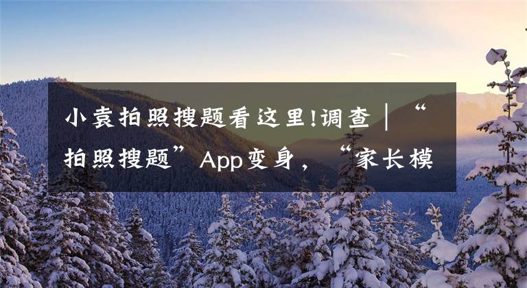 小袁拍照搜题看这里!调查|“拍照搜题”App变身,“家长模式”形同虚设