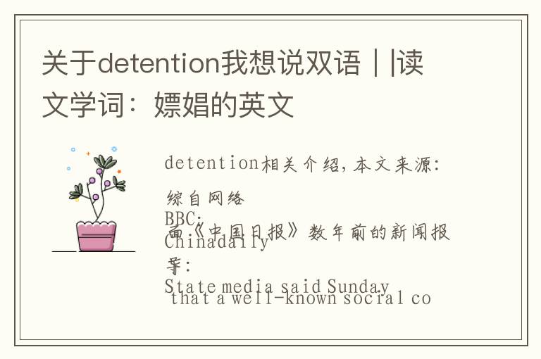 关于detention我想说双语||读文学词:嫖娼的英文