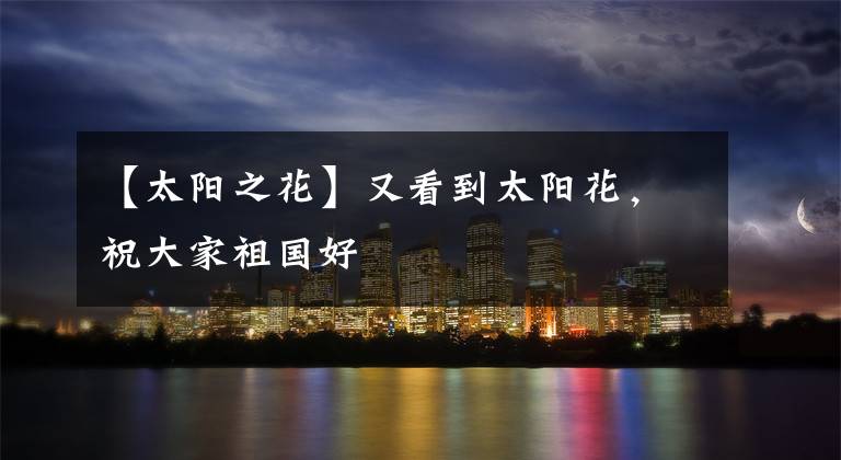 【太阳之花】又看到太阳花，祝大家祖国好