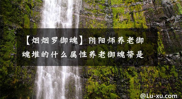 【烟烟罗御魂】阴阳师养老御魂堆的什么属性养老御魂带是什么?