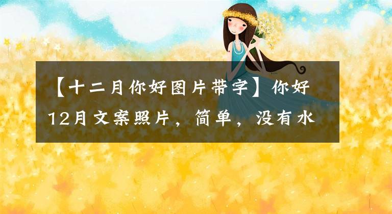 【十二月你好图片带字】你好12月文案照片，简单，没有水印