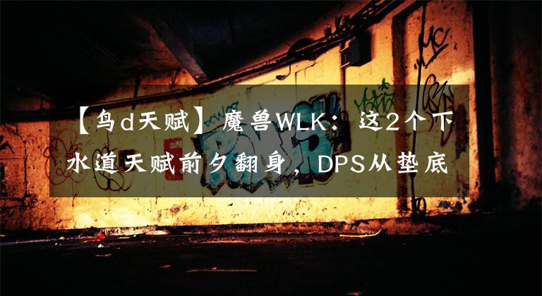 【鸟d天赋】魔兽WLK：这2个下水道天赋前夕翻身，DPS从垫底到T1，BIS配装分析