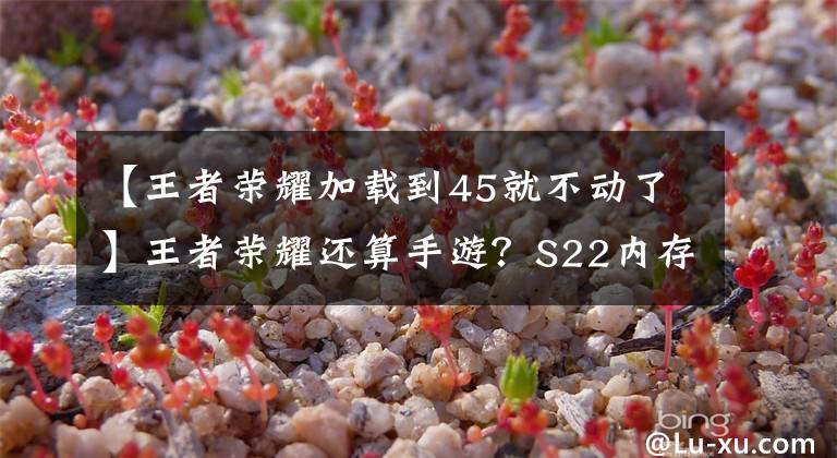 【王者荣耀加载到45就不动了】王者荣耀还算手游?S22内存超过10G,闪退、卡界面经常发生