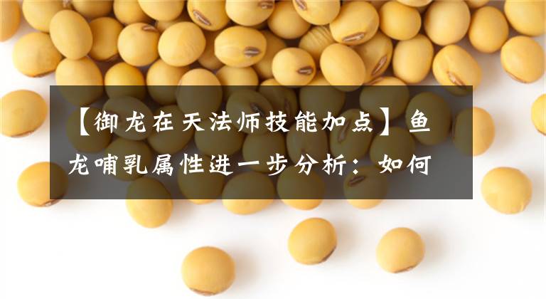 【御龙在天法师技能加点】鱼龙哺乳属性进一步分析：如何提高属性伤害？