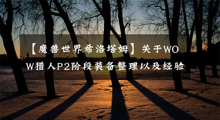 【魔兽世界希洛塔姆】关于WOW猎人P2阶段装备整理以及经验分享