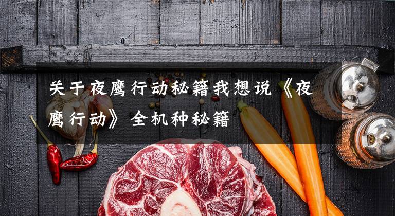 关于夜鹰行动秘籍我想说《夜鹰行动》全机种秘籍