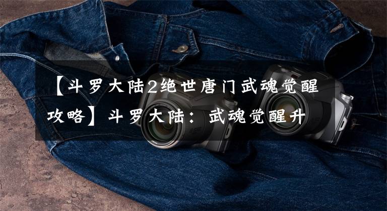 【斗罗大陆2绝世唐门武魂觉醒攻略】斗罗大陆:武魂觉醒升级辅助攻略,鸟人助手快速升级