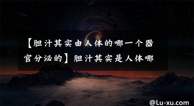 【胆汁其实由人体的哪一个器官分泌的】胆汁其实是人体哪个器官分泌的?胆汁为什么由肝脏分泌