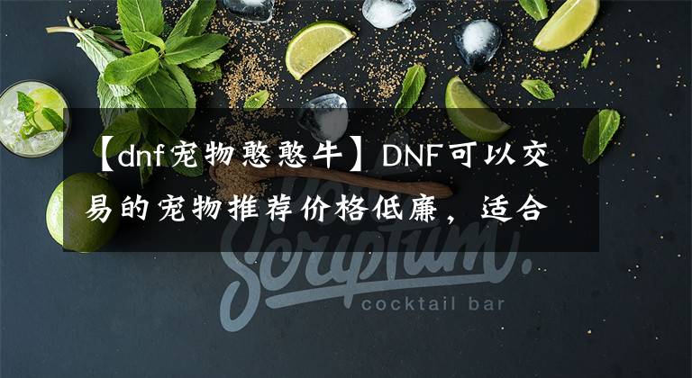 【dnf宠物憨憨牛】DNF可以交易的宠物推荐价格低廉，适合小号