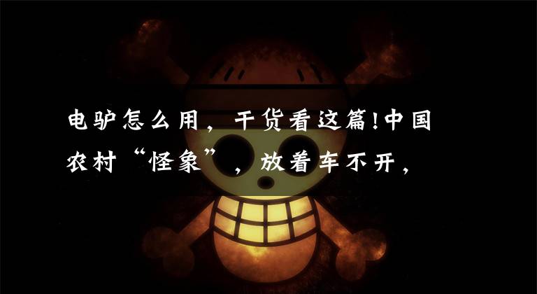 电驴怎么用，干货看这篇!中国农村“怪象”，放着车不开，却喜欢骑着电驴满街跑