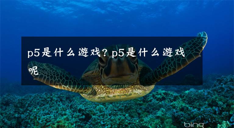 p5是什么游戏? p5是什么游戏呢