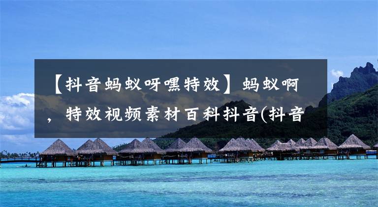 【抖音蚂蚁呀嘿特效】蚂蚁啊,特效视频素材百科抖音(抖音)蚂蚁牙齿黑头晃动模板综述