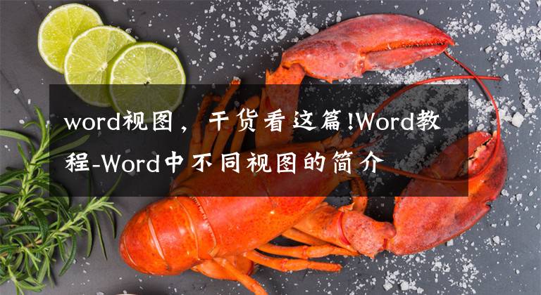 word视图，干货看这篇!Word教程-Word中不同视图的简介
