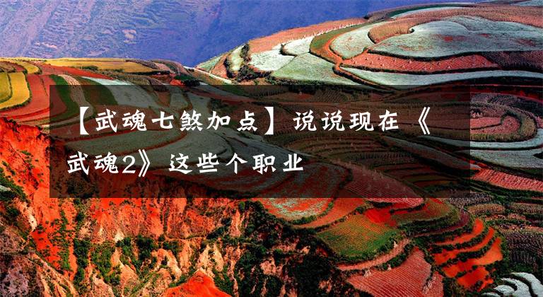 【武魂七煞加点】说说现在《武魂2》这些个职业