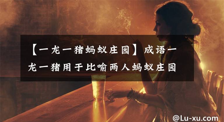 【一龙一猪蚂蚁庄园】成语一龙一猪用于比喻两人蚂蚁庄园10月7日的答案