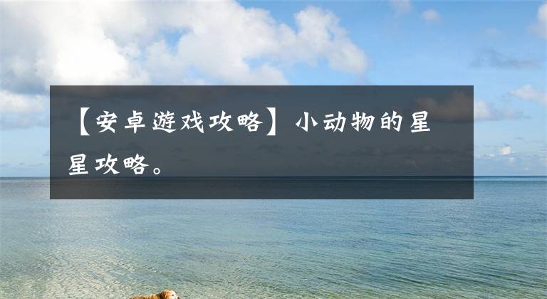 【安卓游戏攻略】小动物的星星攻略。