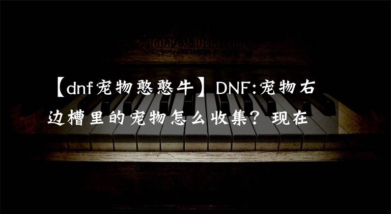 【dnf宠物憨憨牛】DNF:宠物右边槽里的宠物怎么收集？现在还有什么办法可以得到宠物吗？