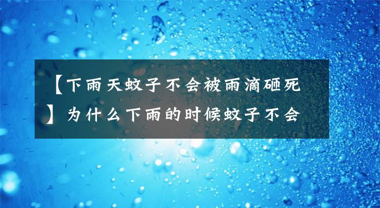 【下雨天蚊子不会被雨滴砸死】为什么下雨的时候蚊子不会被雨滴打死？蚂蚁庄园小教室最新答案