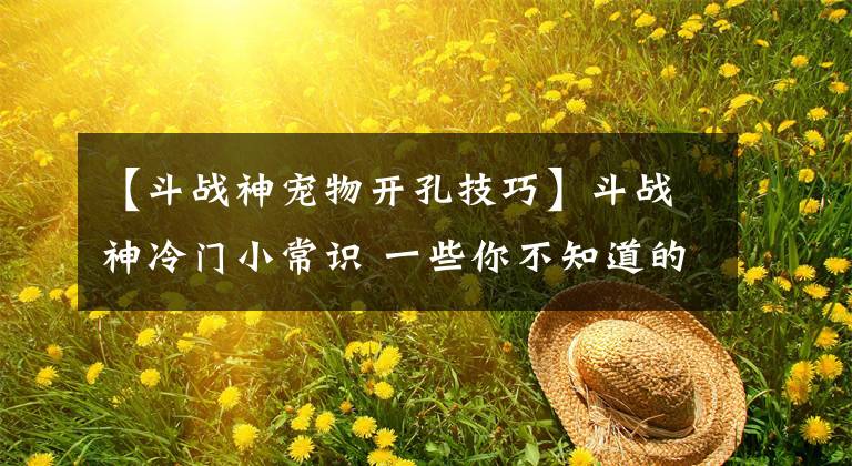 【斗战神宠物开孔技巧】斗战神冷门小常识 一些你不知道的技巧