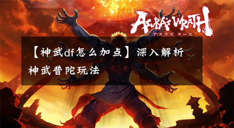 【神武df怎么加点】深入解析神武普陀玩法