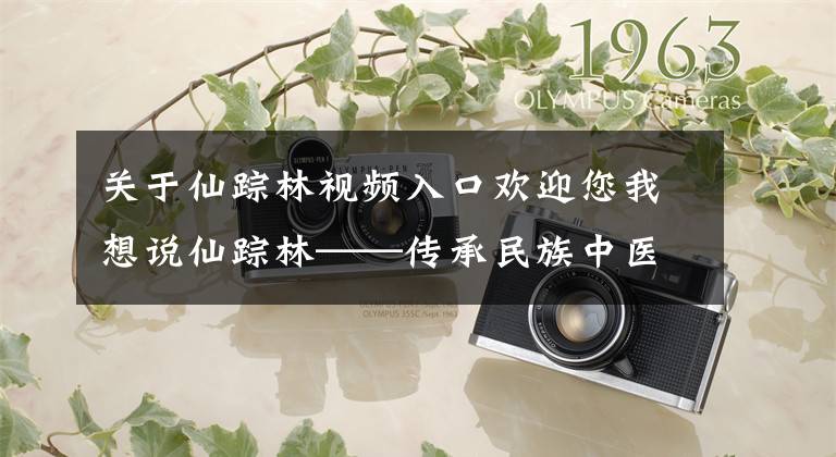 关于仙踪林视频入口欢迎您我想说仙踪林——传承民族中医的力量