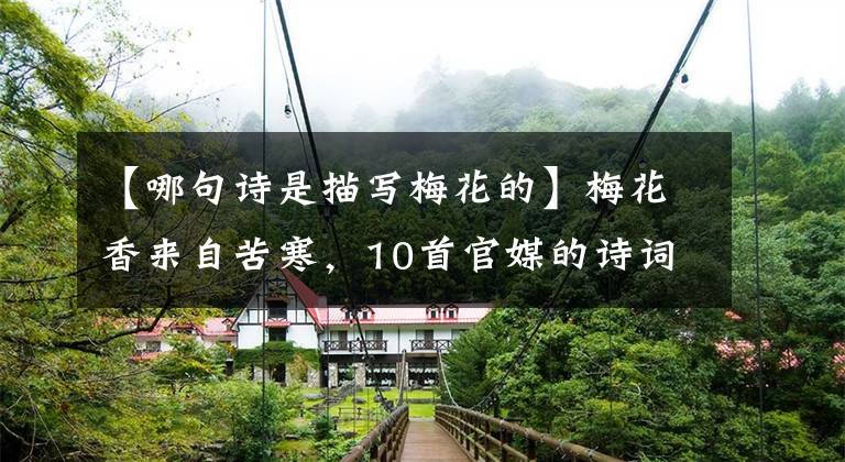 【哪句诗是描写梅花的】梅花香来自苦寒，10首官媒的诗词一起欣赏美丽的梅花吧。(莎士比亚、梅花、梅花、梅花、梅花、梅花、梅花)。