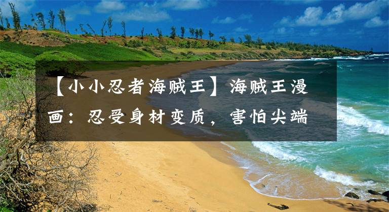 【小小忍者海贼王】海贼王漫画:忍受身材变质,害怕尖端武器,尾田借用御前揭露缘由。