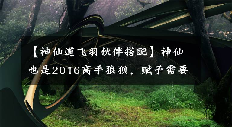 【神仙道飞羽伙伴搭配】神仙也是2016高手狼狈,赋予需要注意的细节。