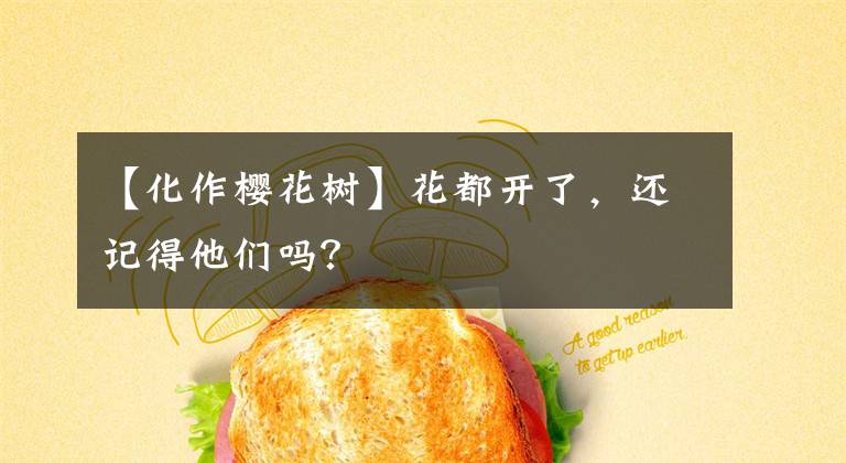 【化作樱花树】花都开了，还记得他们吗？