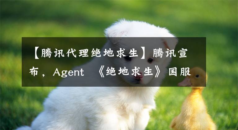【腾讯代理绝地求生】腾讯宣布，Agent 《绝地求生》国服Steam版在吃鸡方面获得了很多差评。