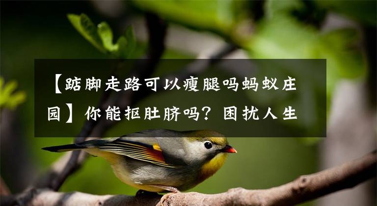 【踮脚走路可以瘦腿吗蚂蚁庄园】你能抠肚脐吗?困扰人生的19个问题终于得到了答案!